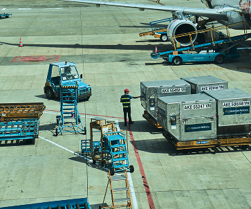 Полный комплекс услуг